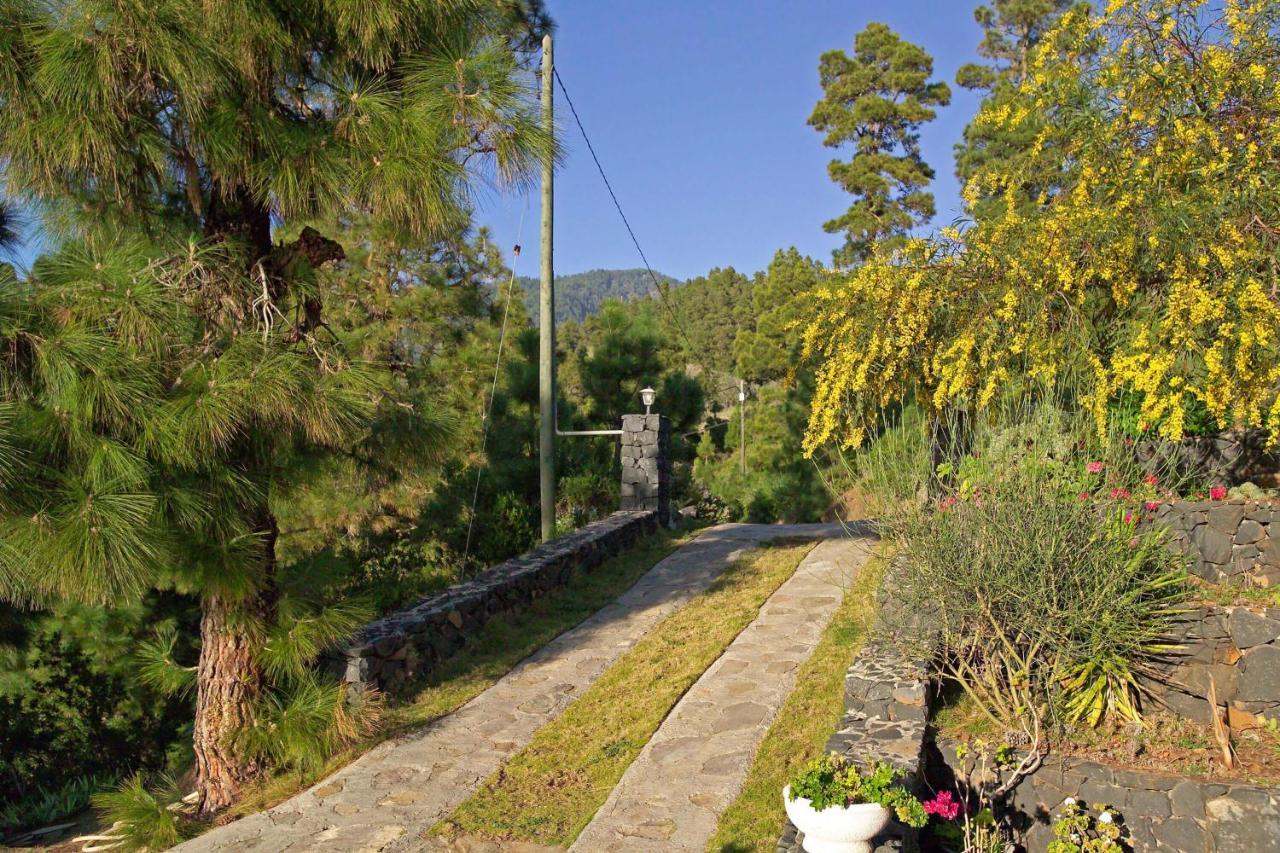 Casa Antonia Holiday home